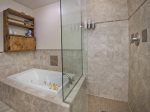 Master Bedroom Shower and Tub 